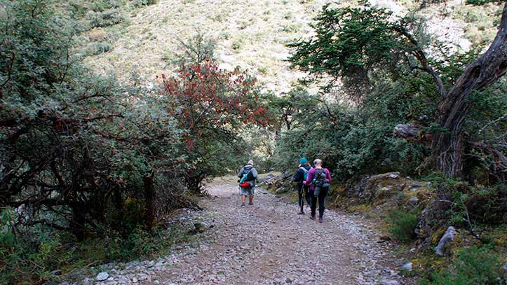 Lares Peru Travel