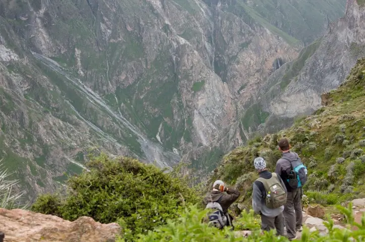 Cañon de colca 2 dias 